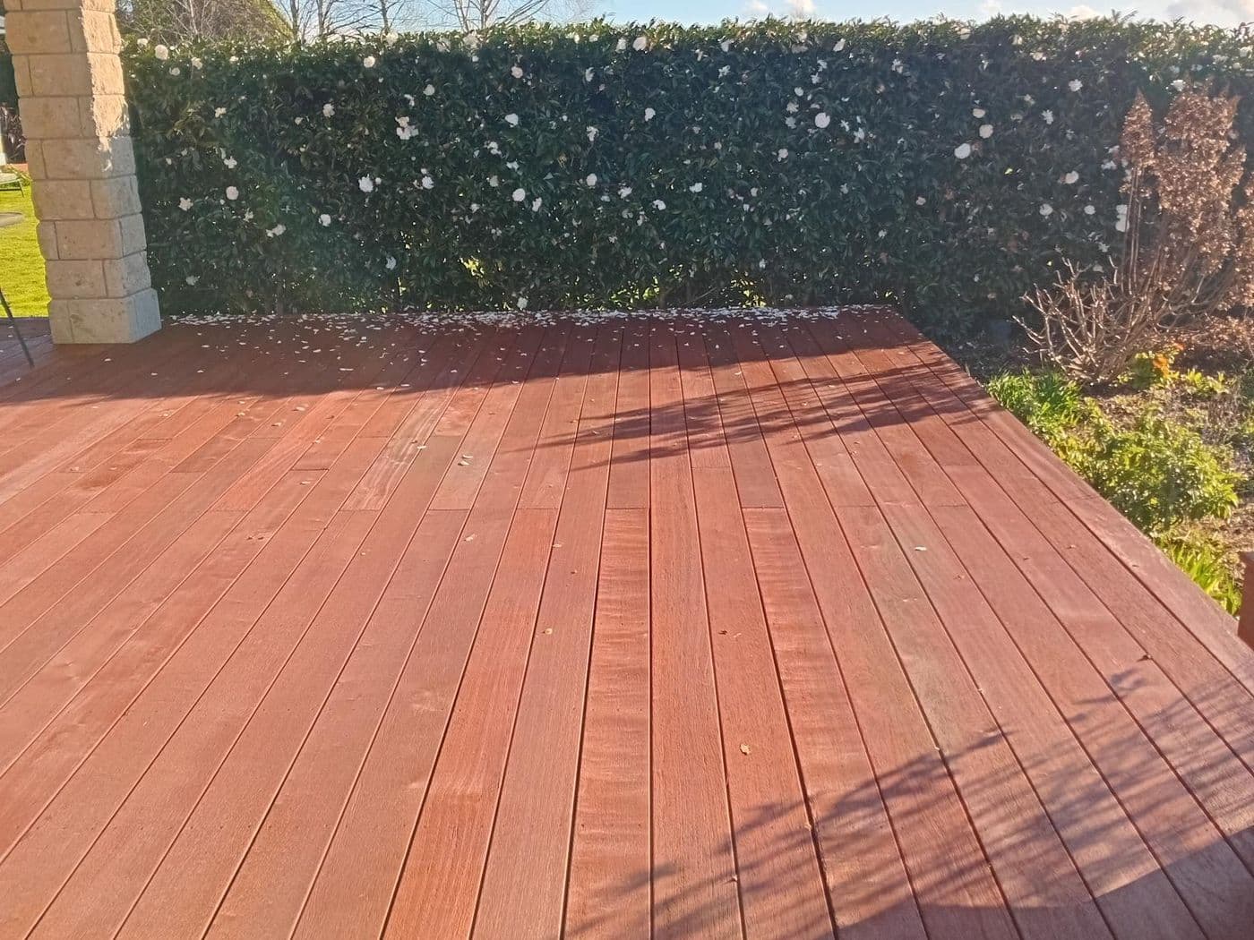 Deck staining by Zeal Professional Painters